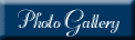sphoto.gif (1511 bytes)